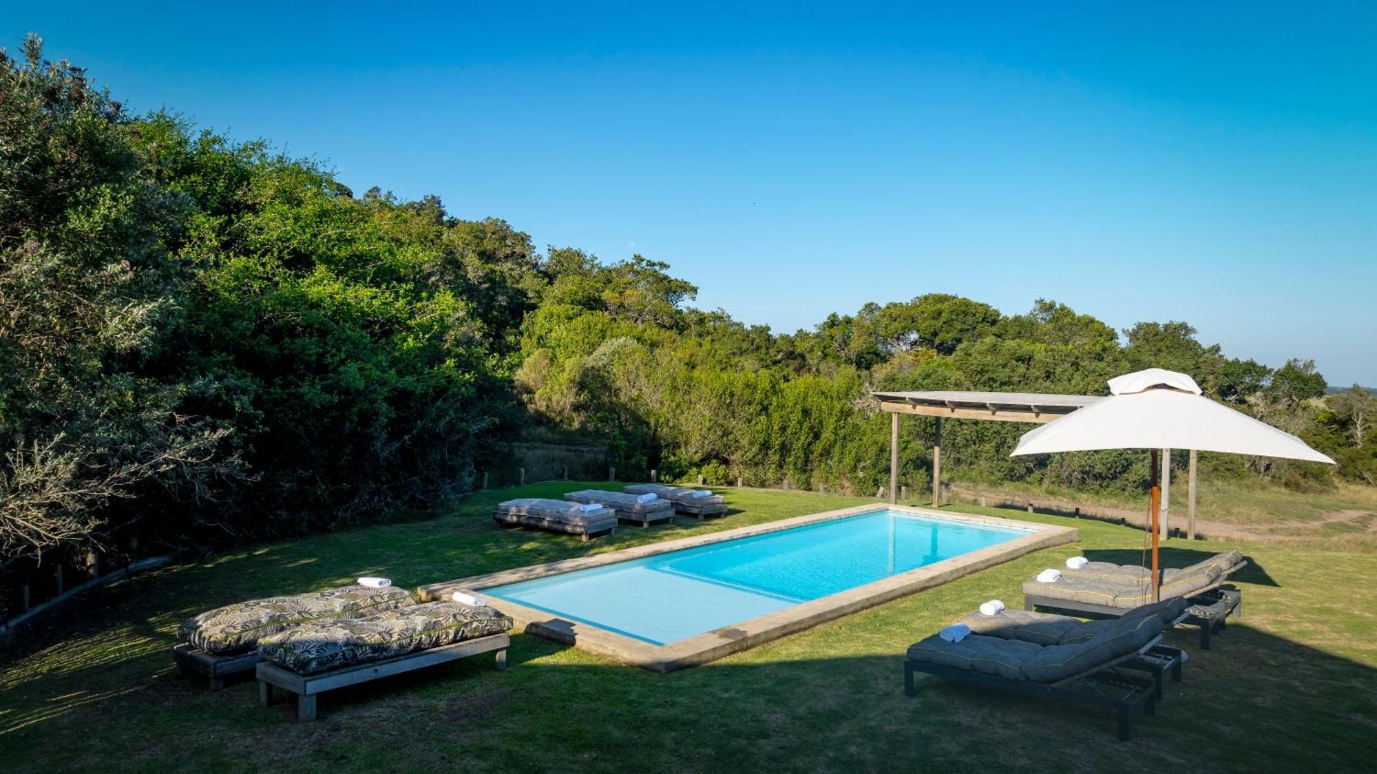 Belle Balance Bush Lodge Plettenberg Bay Eksteriør bilde
