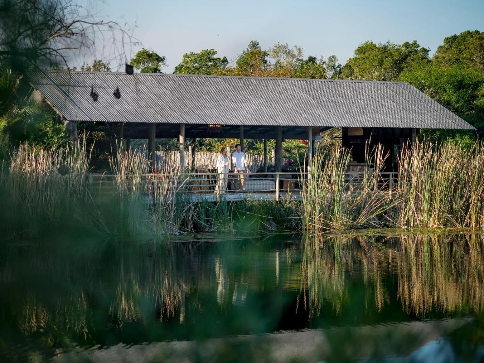 Belle Balance Bush Lodge Plettenberg Bay Eksteriør bilde