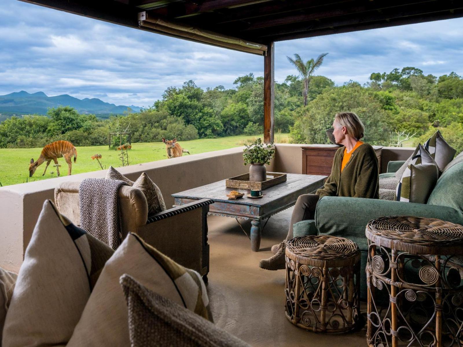 Belle Balance Bush Lodge Plettenberg Bay Eksteriør bilde
