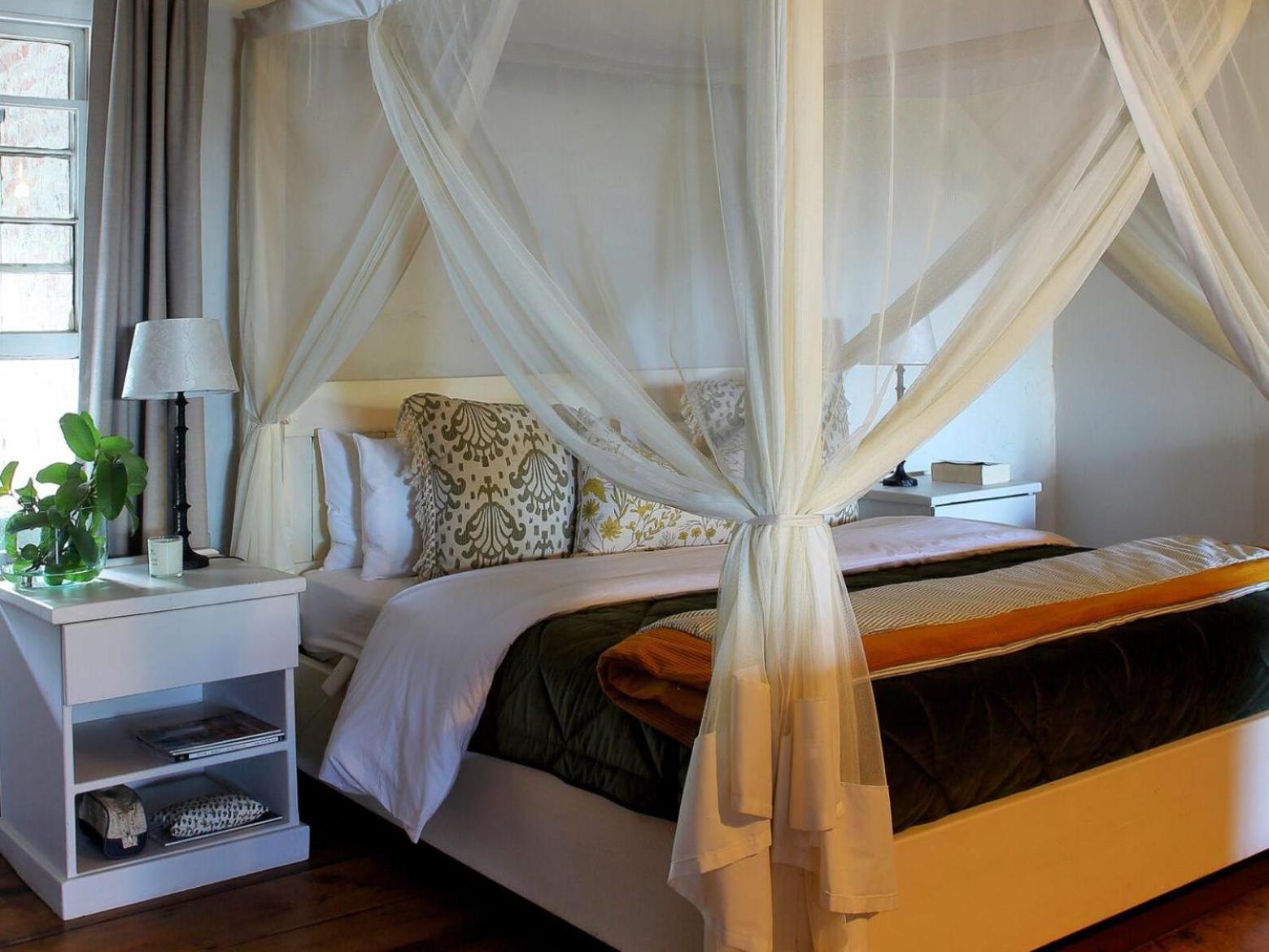 Belle Balance Bush Lodge Plettenberg Bay Rom bilde